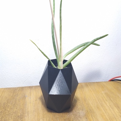 hexagonal flower pot 5 by lukas pomykal household garden flowerpot flowervases planter planters planterspot plantpot 3d print model - Mito3D