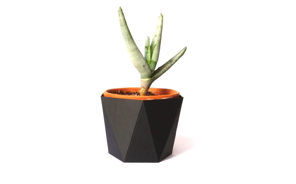 esagono fiore pentola 6 by lukas pomykal domestico giardino fioriera cactus vaso fiori fioriere 3D print model - Mito3D