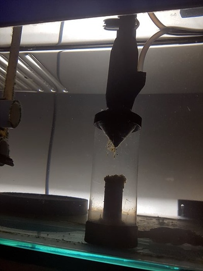 aquarium boue dissolvant air alimenté by azure93 loisir diy 3d print model - Mito3D