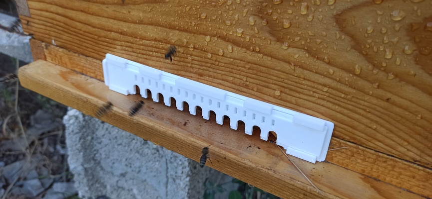 colmena entrada reductor by exprimido casa jardín abeja abejas apicultura apicultor lr 3d print model - Mito3D