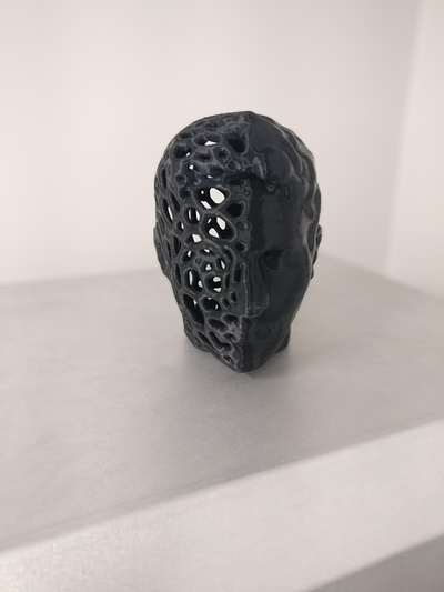 voronoi two-face by 3dylan art models head scan model 3d print model - Mito3D