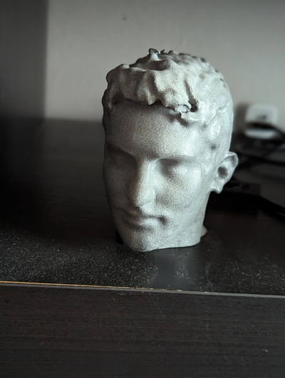 head scan by 3dylan art models human 3d print model - Mito3D
