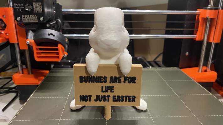 mew protest bunny easter edition remixed by markharris1989 household pets rabbit bunnies animalrights 3d print model - Mito3D