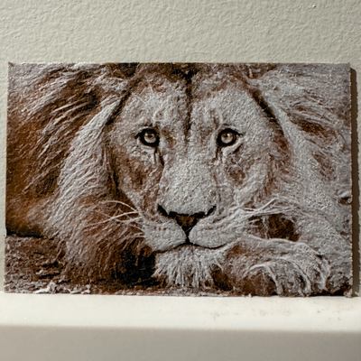 lion réalisme forge chapeaux impression by sucre cyanuré art modèles animal nature mural mélange filament peinture filamentaire texture 3d print model - Mito3D