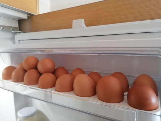 yumurta tepsi by ferah ev halkı modeller buzdolabı 3d print model - Mito3D