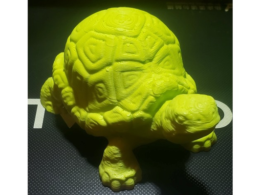 tartaruga remixado by shaggy91601 arte esculturas 3d print model - Mito3D