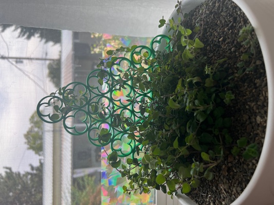 trifoglio albero traliccio by wilsonidaho domestico giardino pentola pianta in vaso 3d print model - Mito3D