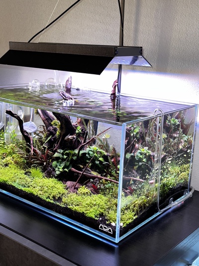 twinstar iii 300s licht schild by mafikes werkzeuge gadgets led aquarium aquarienzubehör 3d print model - Mito3D