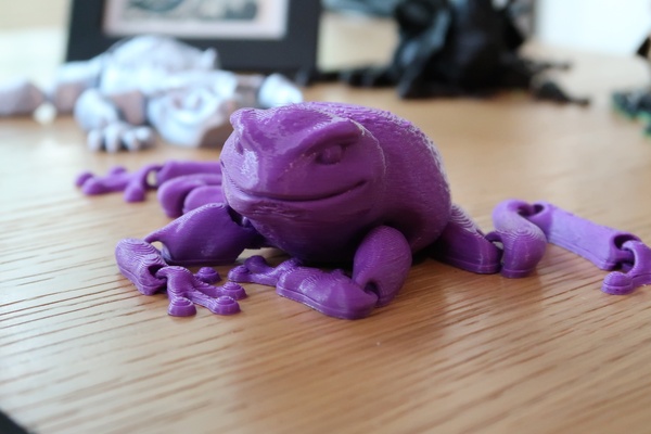 flexi toad by plaground art sculptures print animal articulated in place 3d print model - Mito3D