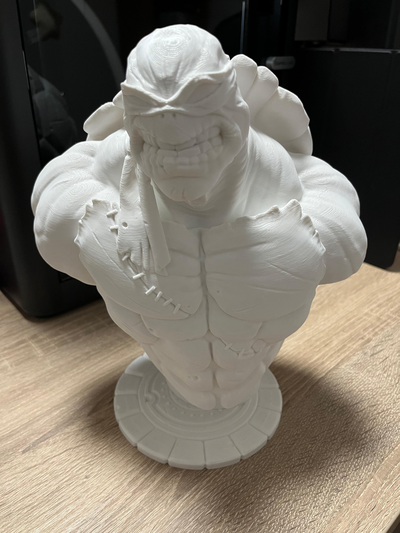 tmnt büst hayran sanat paylaşılan by 3d baron heykeller kahraman kaplumbağalar çizgi roman no destekler genç mutant ninja 3d print model - Mito3D