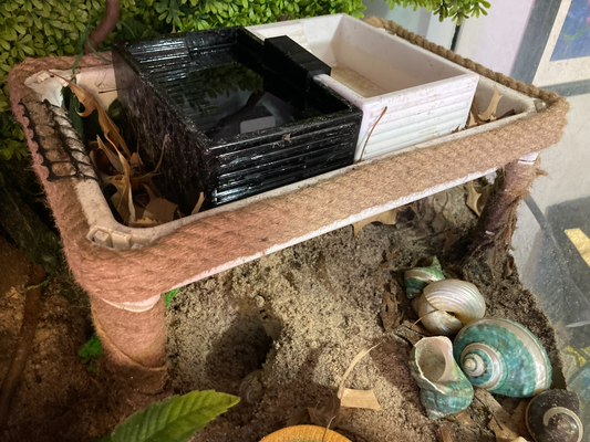 simple hermit crab pool by filamently household pets 3d print model - Mito3D