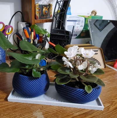 assimétrico plantas potes remixado by mimi casa decoração 3d print model - Mito3D