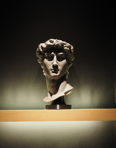 david vaso fiori by riga disponi arte sculture michelangelo greco 3d print model - Mito3D