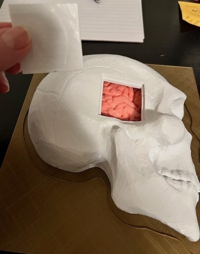 çapak delik model by maureen nemetski araçlar tıbbi kafatası beyin kulak ilaç acil tıp eğitimi cerrahisi görev eğitmeni 3d print model - Mito3D