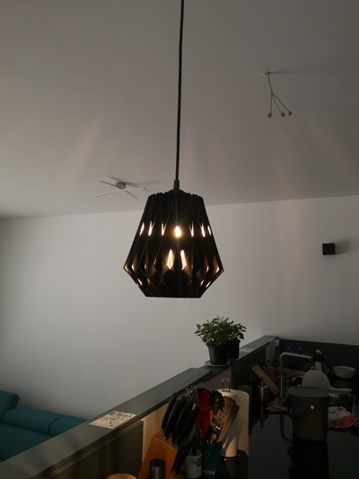lucia pingente luminária by alex tônica 3d casa decoração 3d print model - Mito3D