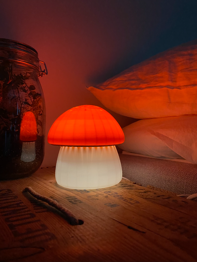 mushroom - lampshade led lamp 001 by settlers household decor mystery box hardware kit light shade ledlamp fungi porcini 3d print model - Mito3D