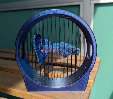 suspended betta fish shared by mugglesmuggle household decor 3d print model - Mito3D
