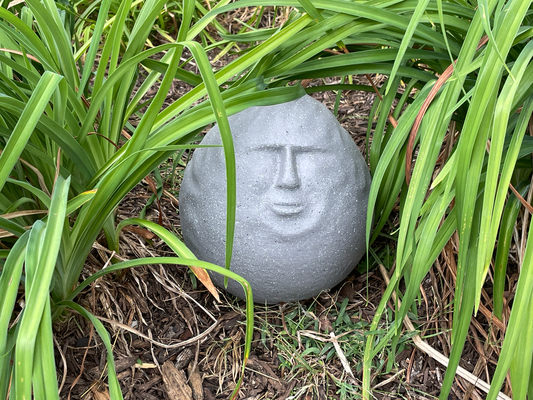 funny dude by nathanwilliams415 household decor rock 3d print model - Mito3D