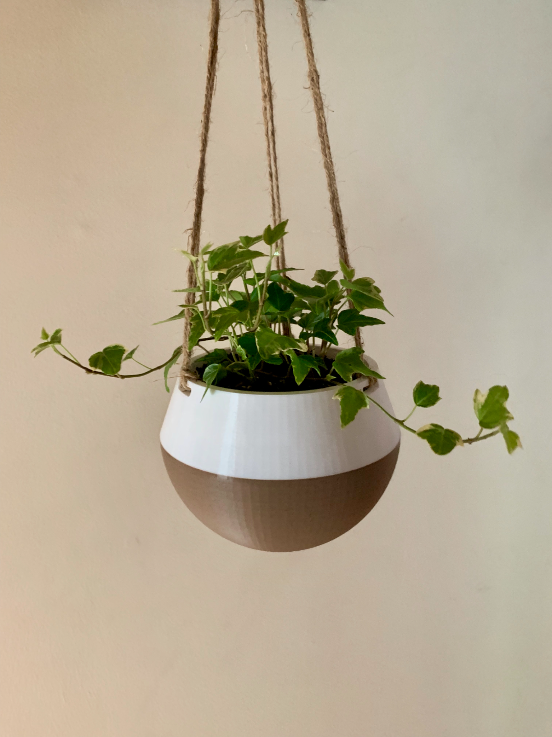 hanging planter by the3dbunny household garden home planterpot planterpots flowers pot flower 3D print model - Mito3D