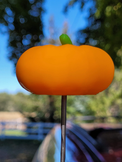 small pumkin antenna tropper by print quest household decor 3d print model - Mito3D