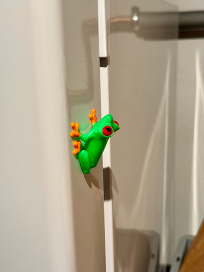 magnetic treefrog multicolor remixed by paulbpunkt miniatures animals tree frog animal magnet fridge color frosch 3d print model - Mito3D