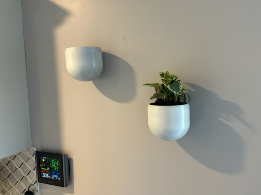 mur planteur pot monter by mfeidler ménage décor fleur pendre plante titulaire soutien récipient 3d print model - Mito3D