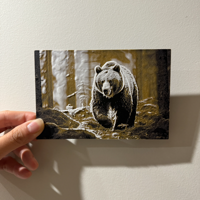 bear in forest - hueforge print by cyanidesugar art models bears animal nature wild wilderness brown realism photography lighting 3d print model - Mito3D