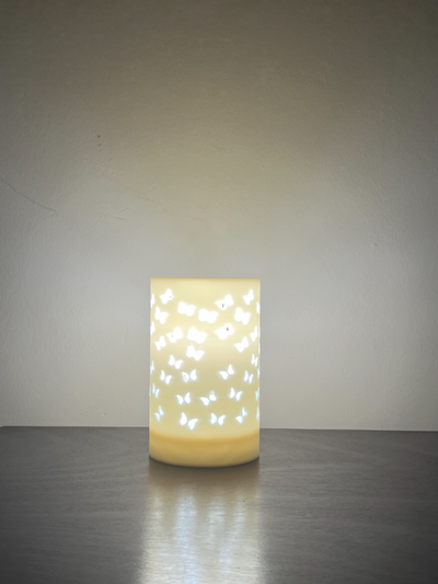 butterfly lamp by jeandre groenewald household decor butterflies light 3d print model - Mito3D