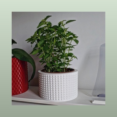 vaso panela plantador cachepot 2 by jajaum3d plantar arte planta flores decoração casa flowervases 3d print model - Mito3D