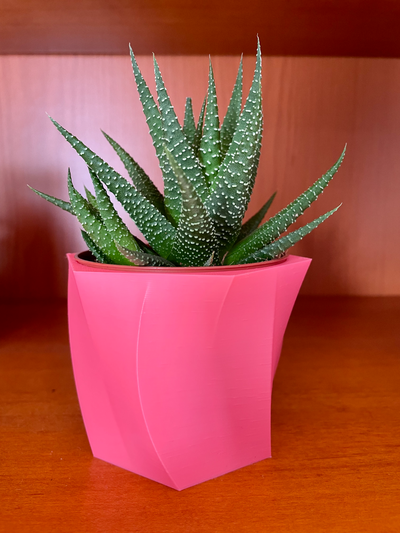 vase ikea succulent gastéria by rustam plante 3d print model - Mito3D