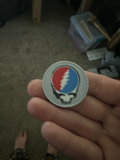 stealie coin by lere380 grateful dead steal face 3d print model - Mito3D