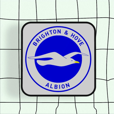 brighton hove albion football club 2d art mural by l'amour impressions mouettes ligue logo badge 2dart mur 3d print model - Mito3D
