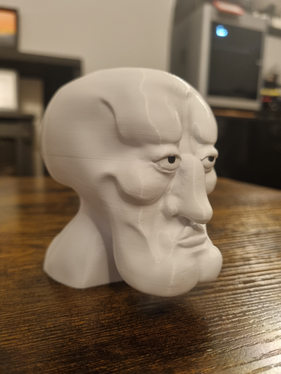 beau calmar tête by amateur impressions calamar buste 3d print model - Mito3D