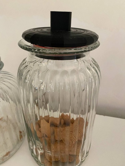 cookie jar stopper - tappo barattolo biscotti by pficile 3d print model - Mito3D