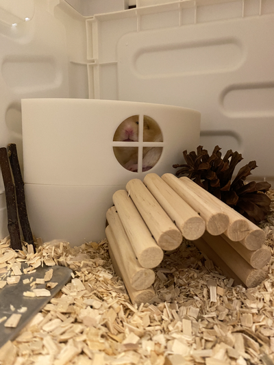 modular hamster house by nunu1215 3d print model - Mito3D