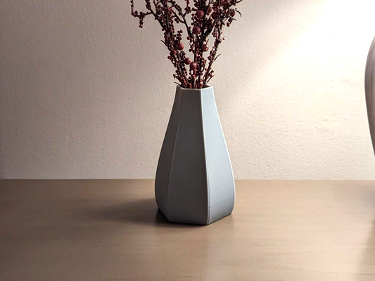 hex vaso by ken moinhos 3d print model - Mito3D