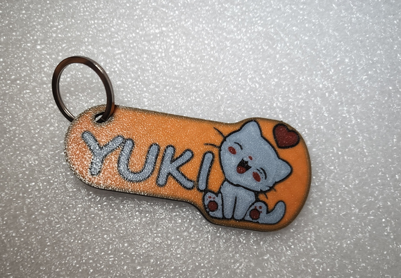 carina gatto portachiavi etichetta by ryxxi cate yuki zampe arte multicolore 3d print model - Mito3D