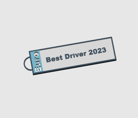 driver numberplate keychain by dinozzo28 art signs & logos key number 2023 3d print model - Mito3D