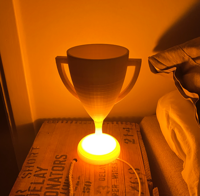 trophäe lampenschirm led lampe 001 by siedler haushalt dekor geheimnis box hardware kit schatten licht sieg vergeben preis gewinner 3d print model - Mito3D