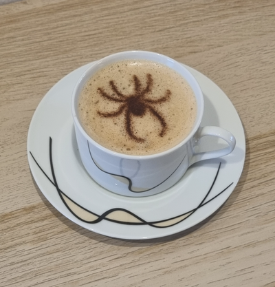 şablonlar dekorasyon coffee spider by repair3d ev halkı dekor kahve örümcek 3d print model - Mito3D