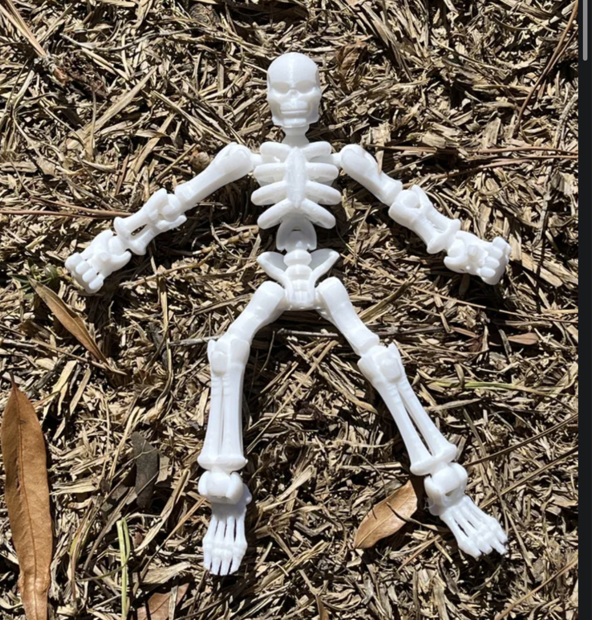 skelett by kaleb08 spielzeuge spiele zeichen halloween schädel 3D print model - Mito3D