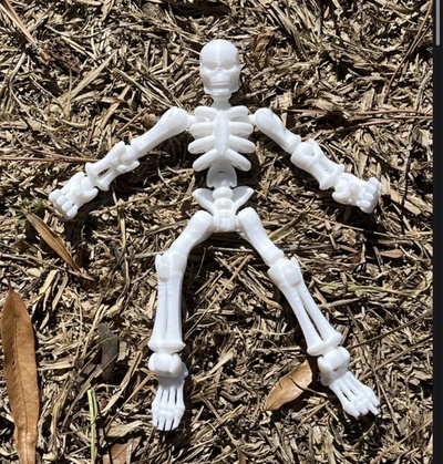 esqueleto by kaleb08 juguetes juegos caracteres víspera santos cráneo 3d print model - Mito3D