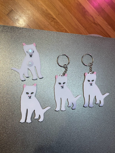 silgi kedi mıknatıs anahtarlık by plomdawg sanat 2d süs hediye 3d print model - Mito3D