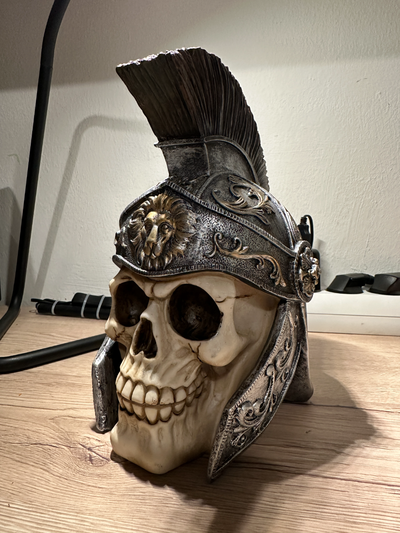 r mersch del - roman skull by dierk24 toys & games characters roemer romanskull 3d print model - Mito3D