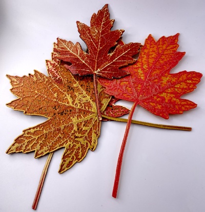 fall maple leaves - hueforge by pezliz household decor autumn leaf mapleleaf leafs fallseason 3d print model - Mito3D