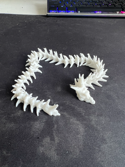 articulado osso dragão by lil ppj miniaturas animais animal 3d print model - Mito3D