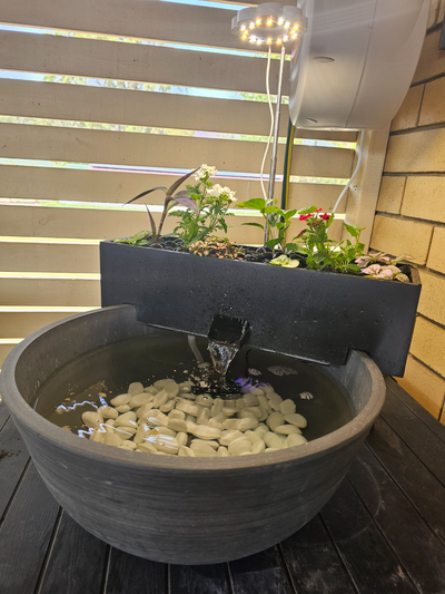 contenait aquaponie grandir lit by sam lonergan ménage jardin jardinage poisson 3d print model - Mito3D