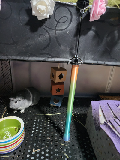 guinea cerdo cnc jaula pilar apoyo by spstudio casa mascotas conejillo indias animal 3d print model - Mito3D