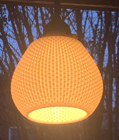 dış ışık gölge by jdalycache ev halkı dekor lamba led vazemode edison spiralize vazo modu edisonbulb 3d print model - Mito3D
