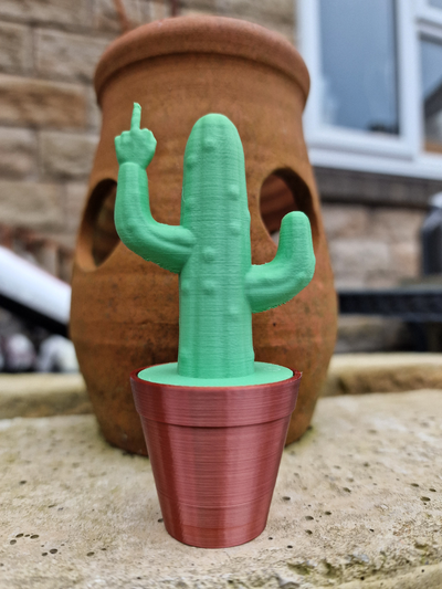 succulent an f cactus pot by 3domsculpts art models catcus bird funny swear meme planter 3d print model - Mito3D